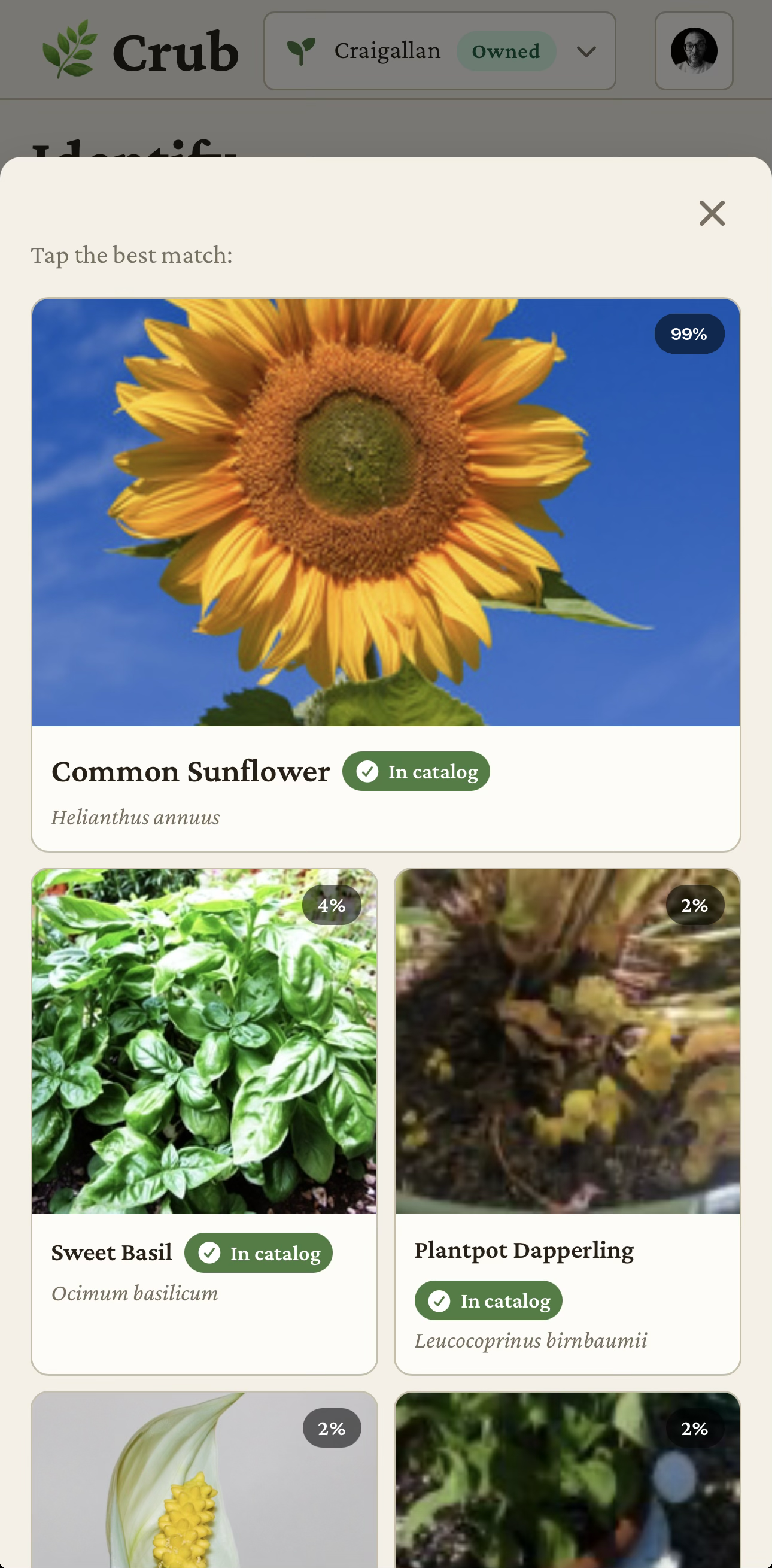 Crub identifying a plant from a photo